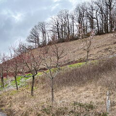 23-03-12 14-50-00 4801